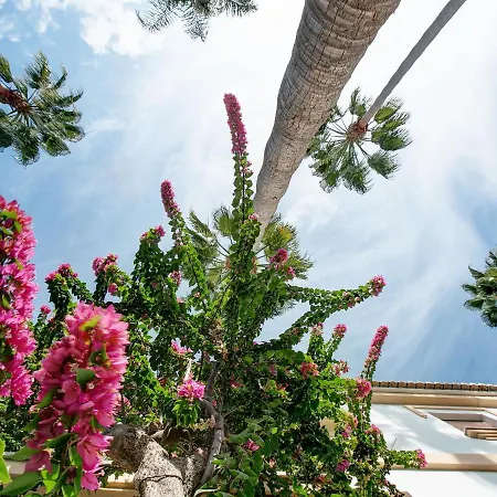 Apartment Apartment El Patio By Interhome Denia