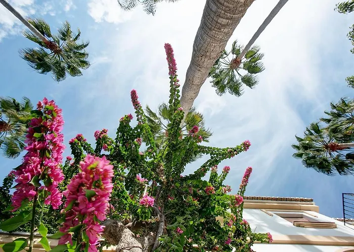 Apartment Apartment El Patio By Interhome Denia